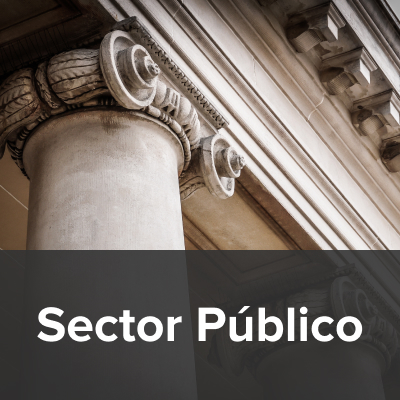 sector publico